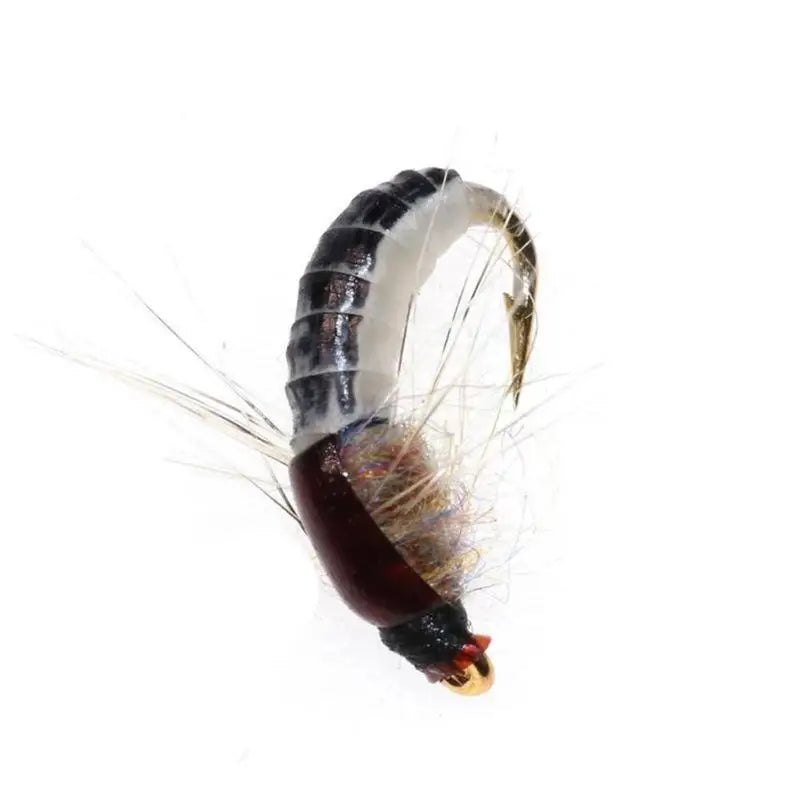 6 Pcs #12 Realistic Nymph Scud Fly for Trout Fishing