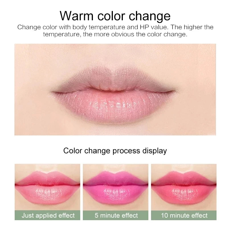 12pc/SET 3.5g Color Changing Tinted Lip Balm Lipstick Aloe Vera Lipstick Moisturizing Long Lasting